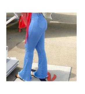 Jeans Palazzo Pant for Women