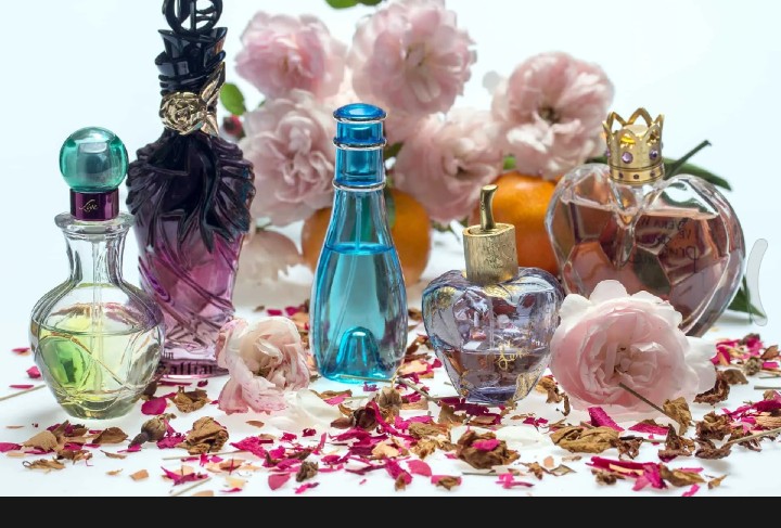 Royal Prophecy by Alif Attar for Men & Women Non-Alcoholic Long Lasting Perfume - 8 ML