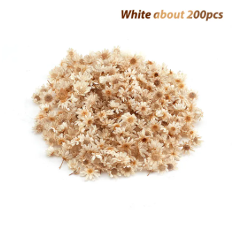 【Hot demand】200pcs Dried Flowers For DIY Epoxy Resin Candle Making Jewellery Glass Filler