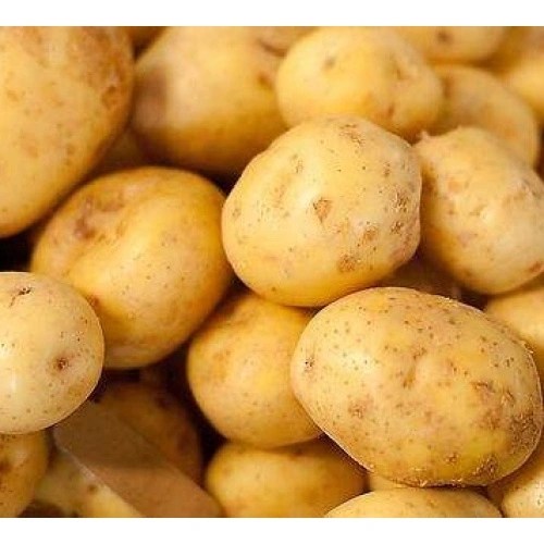 আলু ( হল্যান্ড) | প্রতি কেজি
