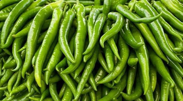 কাচা মরিচ| প্রতি কেজি
