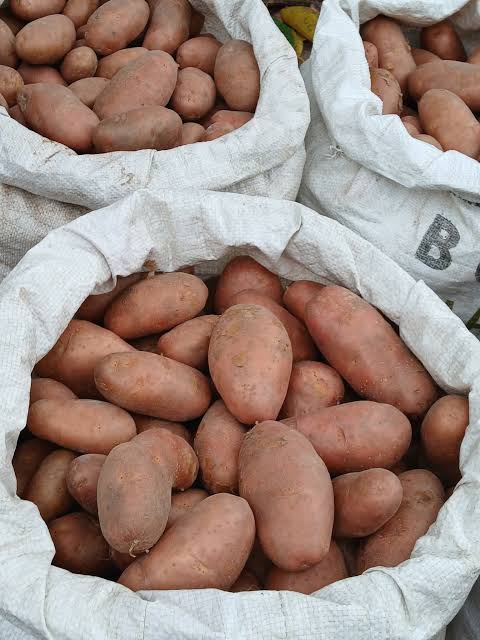 স্টিক আলু- ১ কেজি