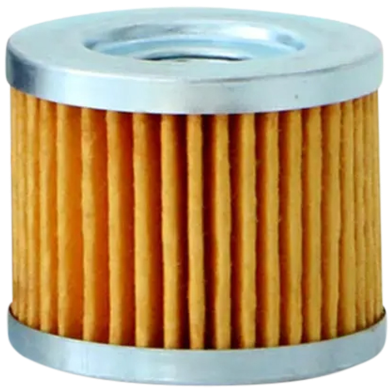 Apache RTR Oil Filter (Made In India)