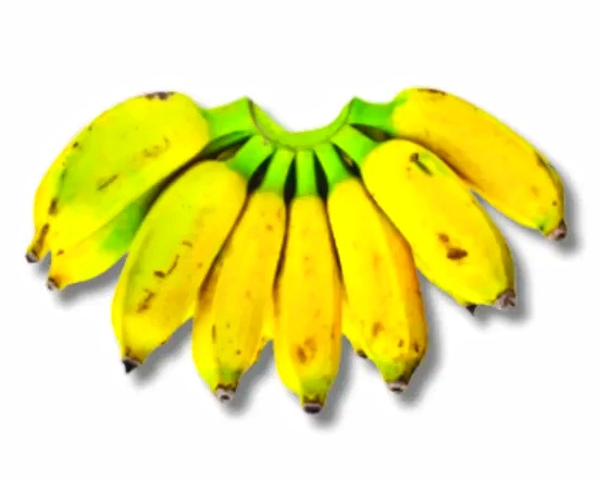 Chini Chompa (Banana) Yellow 04pcs