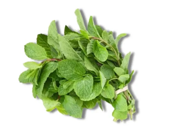 Pudinapata (Mint Leaf)per 1 kg