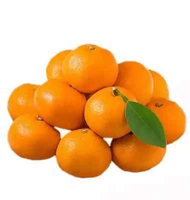 Chaina comla| চায়না কমলা| 1 kg