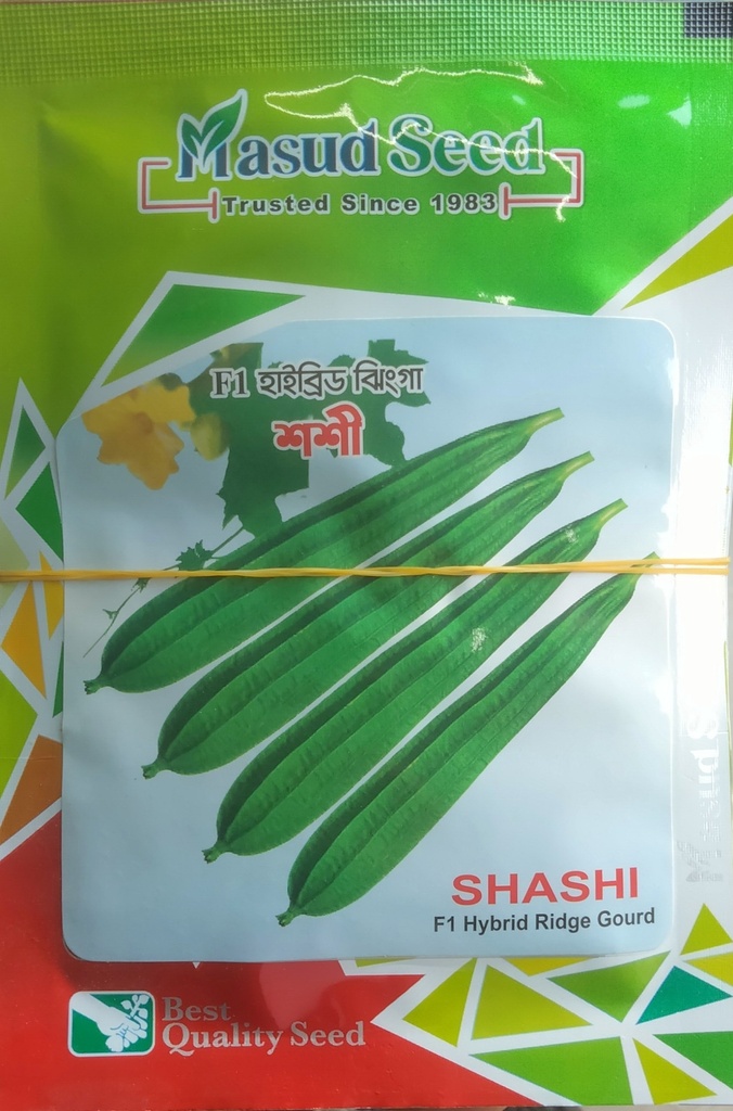 Masud Seed SHASHI F1 Hybrid Ridge Gourd seeds| হাইব্রিড ঝিংগা বীজ| 10 gm