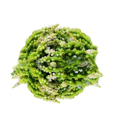 Pui Mituli (Pui Fol)per 500 gm