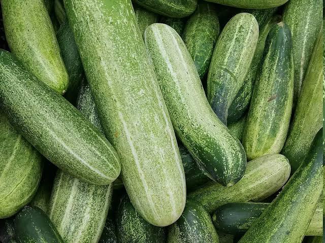 শসা প্রতি কেজি