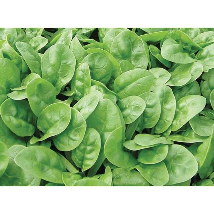 পালং শাগ প্রতি আটি