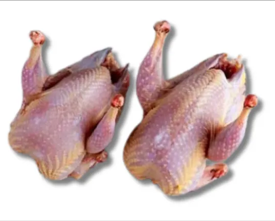 Kobutorer Mangsho (Pigeon Meat) Regular per piece