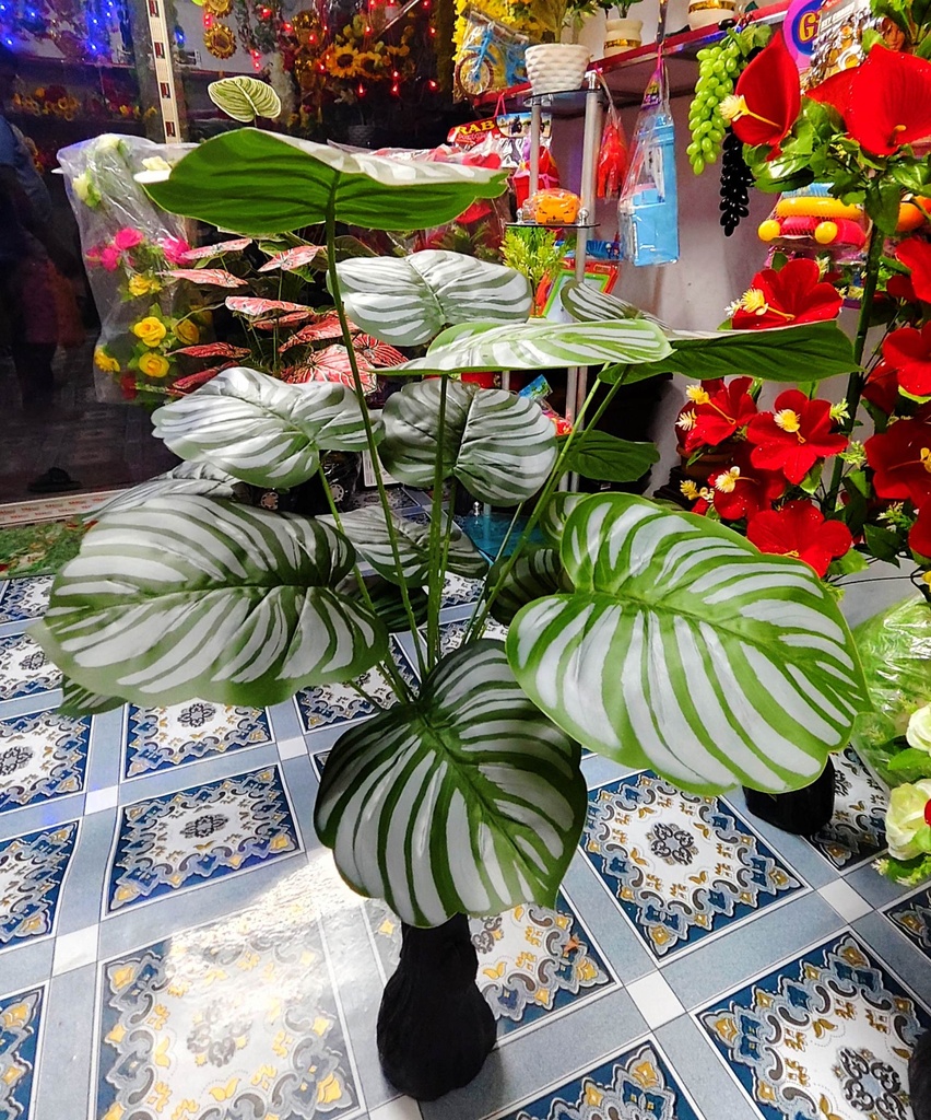 Artificial Plant - Home Decoration Item - Home Decoration Item