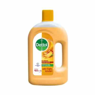 Dettol Handwash Re-Energize Liquid Refill 750 ml