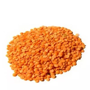 মসুর ডাল মোটা দানা -500gm