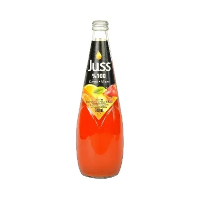 Juss 100% Mix Fruit Juice 740 ml