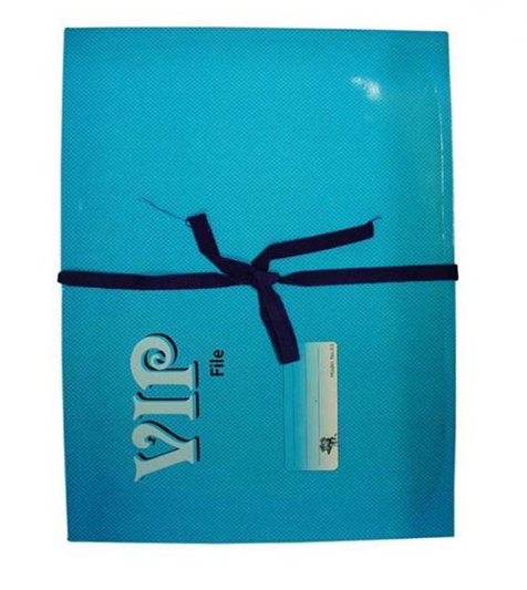 VIP Court File, Assorted Color