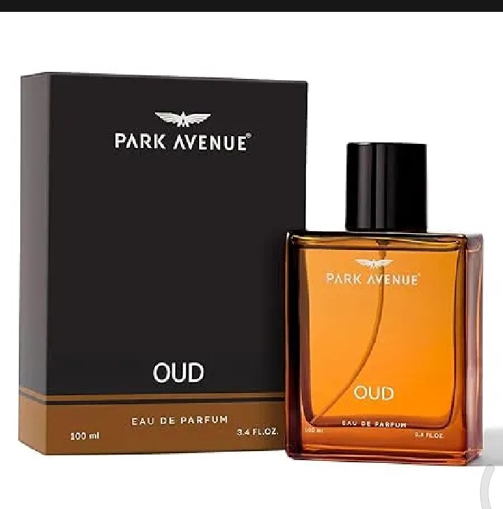 Park Avenue Oud, Liquid Eau De Parfum Men, 100ml Long Lasting Perfume Spray For Men Premium Luxury Fragrance Scent Aromatic Suitable For Every Occasion