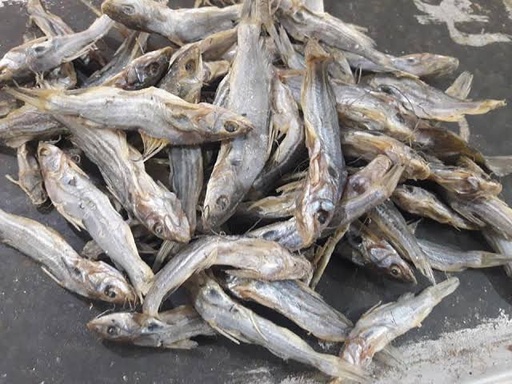 টেংরা মাছের শুটকি - 100 gm